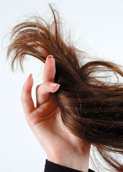 Уход за сожженными волосами. Как восстановить сожженные волосы? Маски для сожженных волос
