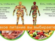 Рациональное питание для похудения. Основы и принципы рационального питания