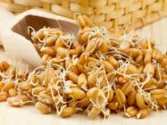 Пророщенная пшеница для похудения — в борьбе за стройность и здоровье!